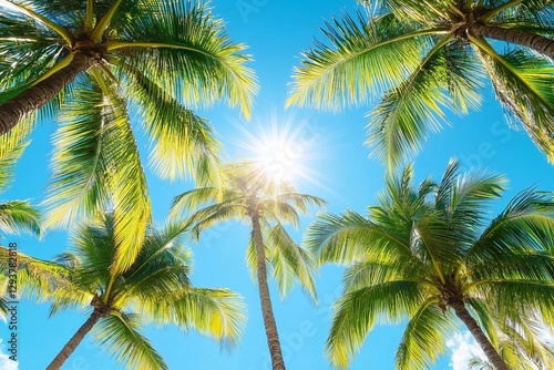Green palm tree branches blue sky background, bright shiny sun rays, palm leaves, sunlight glow, beautiful nature, sea beach landscape, summer holidays