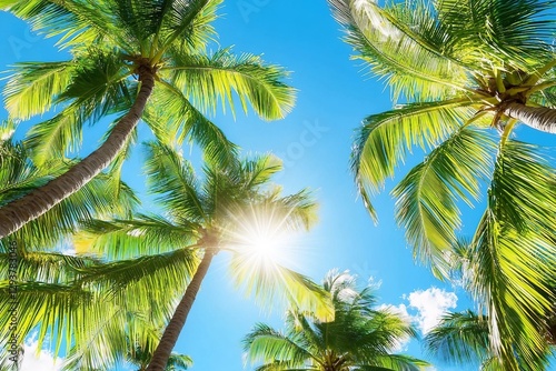 Fototapeta Naklejka Na Ścianę i Meble -  Green palm tree branches blue sky background, bright shiny sun rays, palm leaves, sunlight glow, beautiful nature, sea beach landscape, summer holidays