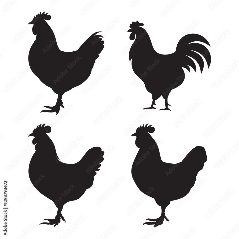 Fototapeta premium Chicken Silhouette Clipart Design