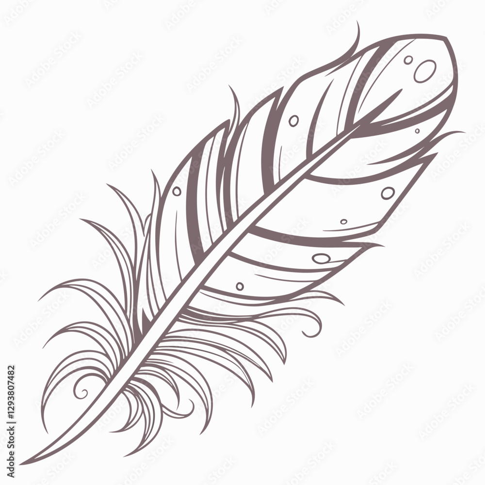 feather with delicate details vector illustration feather with delicate details vector illustration