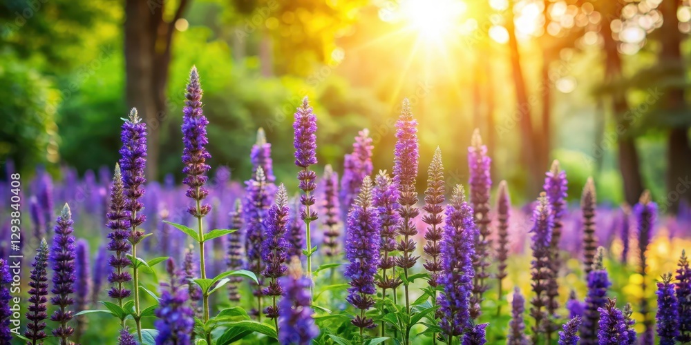Obraz premium Hyssop blooms in a lush green garden surrounded by tall trees and vibrant flowers, with sunlight filtering through the leaves
