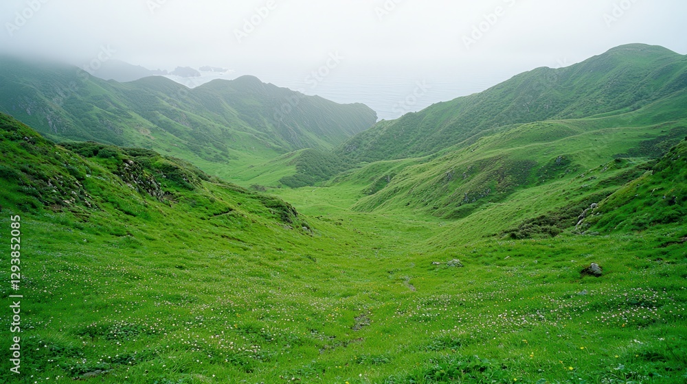 Naklejka premium A vast, verdant canvas of green, a boundless grassland landscape, stretching towards the distant horizon, bathed in sunlight and dotted with the gentle movement of wildflowers. 
