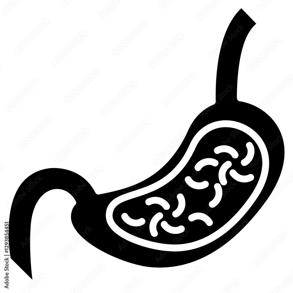 Stomach Icon Stomach Icon