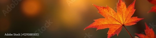 Wallpaper Mural Close-up of single maple leaf with intricate details against blurred autumn background, photography, artistic, bokeh Torontodigital.ca