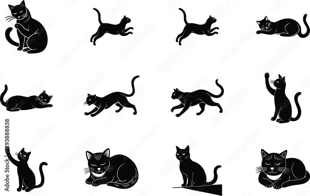 Fototapeta premium Black Cat Silhouettes Sitting, Jumping, Playing, and Posing