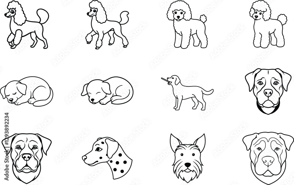 Cute Dog Breeds Line Art Poodles, Labs, Dalmatians, and More Cute Dog Breeds Line Art Poodles, Labs, Dalmatians, and More