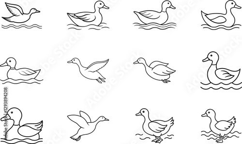Twelve Ducks Swimming, Floating, and Flying Line Drawings