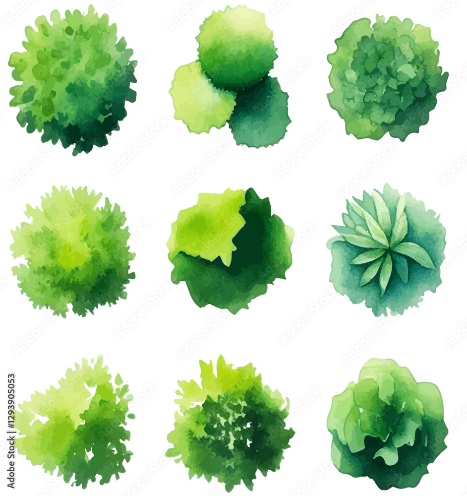 Fototapeta premium Watercolor style hand drawn top of view tree garden useful for landscape design