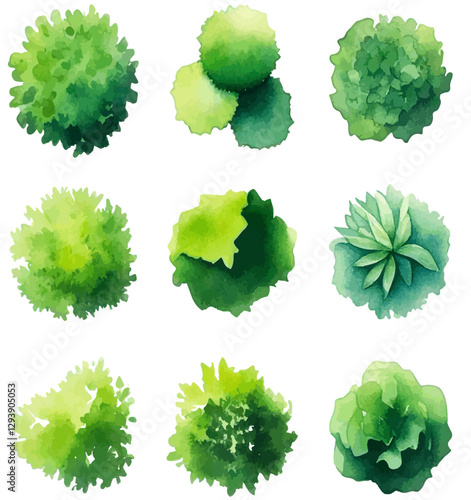 	
Watercolor style hand drawn top of view tree garden useful for landscape design	
