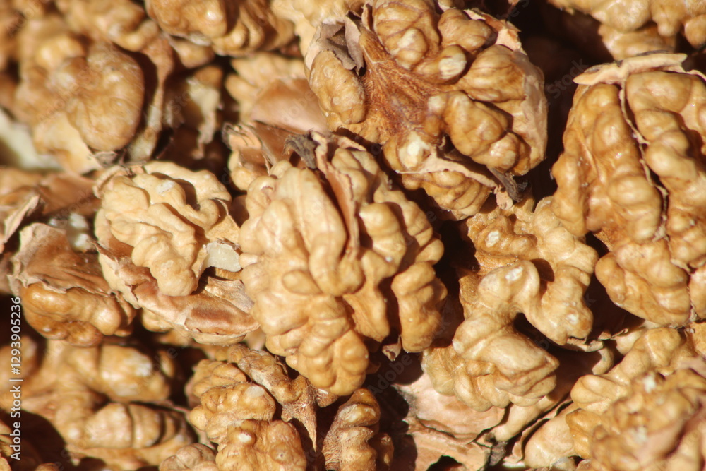 Walnut Kernels Close Up Walnut Kernels Close Up