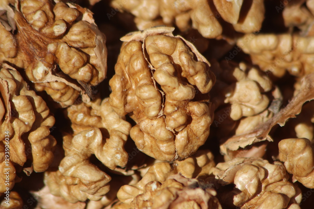 Walnut Kernels Close Up Walnut Kernels Close Up