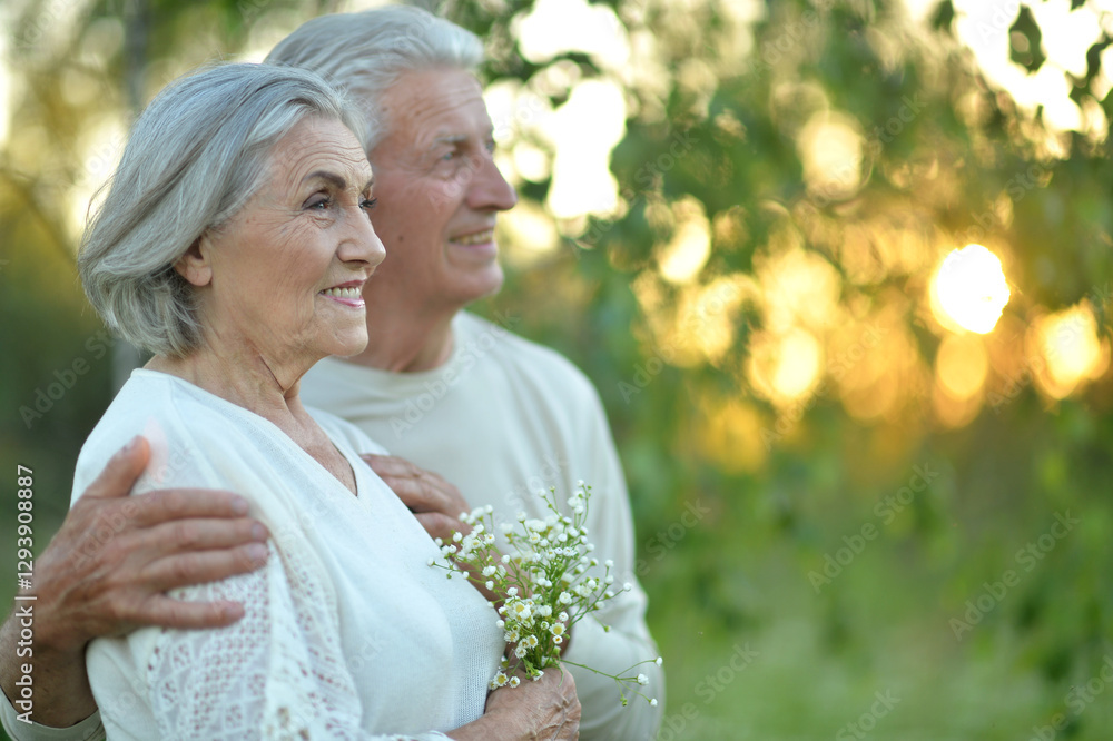 Loving mature couple in the park in summer