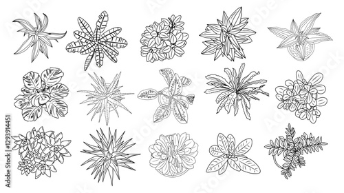Set of different house plants top view. Cactus, aloe, monstera, palms black line art icons for landscape, architectural, interior design. Hand drawn Vector sketch isolated on transparent background.