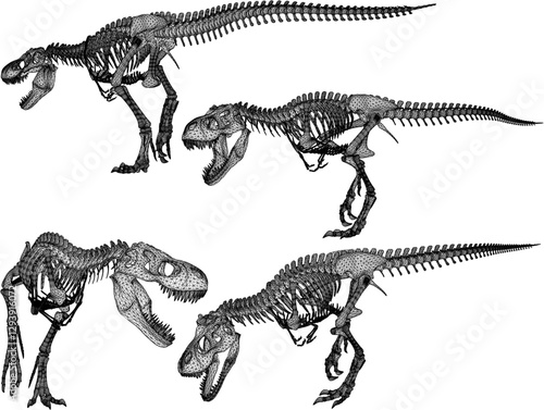 vector sketch of trex dinosaur bone fossil design for display in a museum 