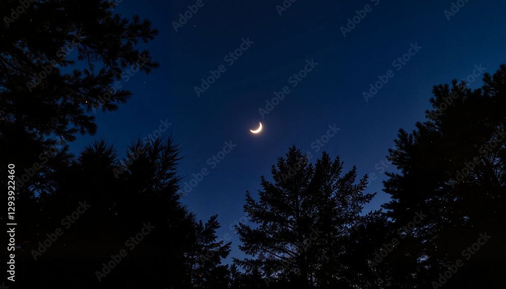 Fototapeta premium Crescent moon and star over dark forest treetops, night tranquility