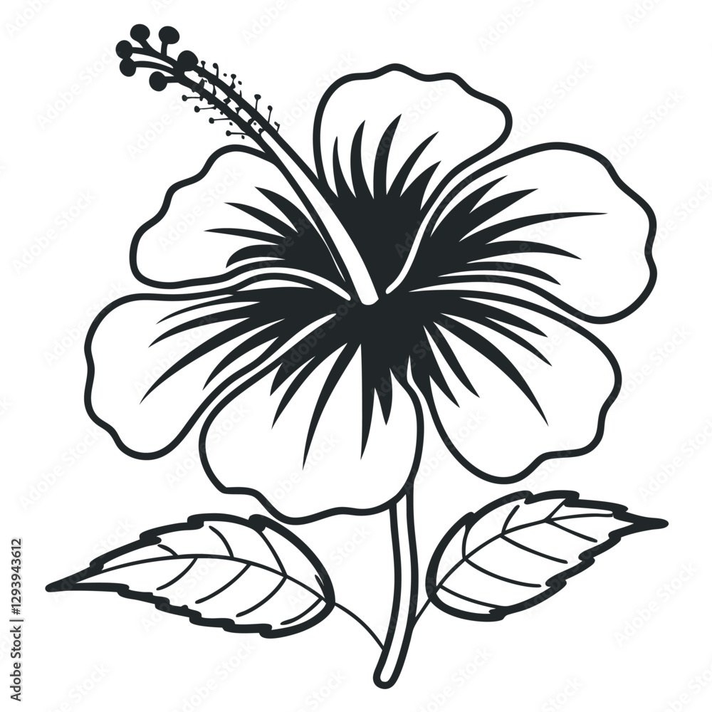 Obraz premium Minimalist Hibiscus Line Art with Stamen