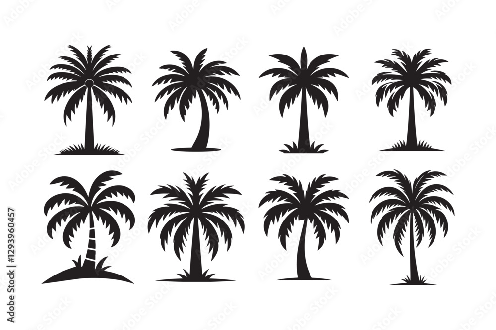 Palm tree bundle set Vector illustration Palm tree bundle set Vector illustration