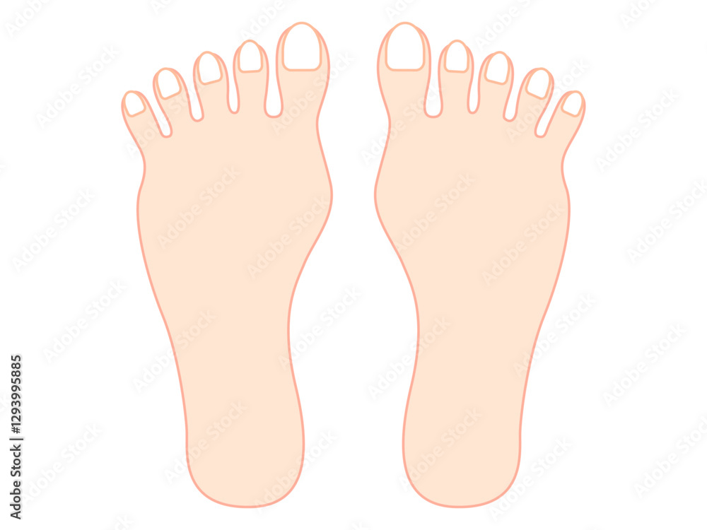 ネイルアートの練習用の両足の爪のイラスト素材3