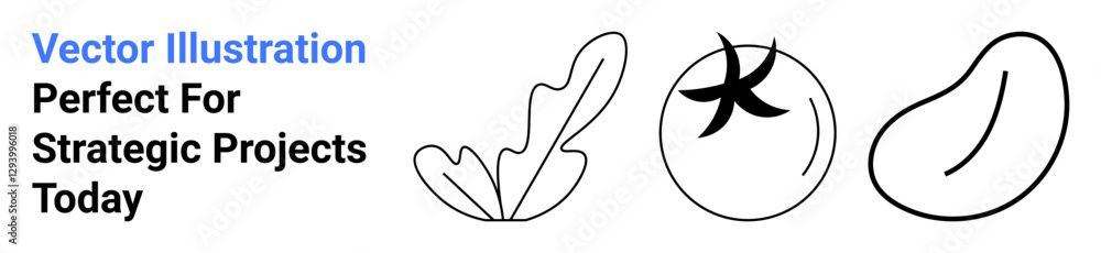 Minimal line drawings of lettuce leaf, tomato with stem, and bean, emphasizing simplicity and organic concepts. Ideal for healthy eating, sustainability, farming, eco-living, minimalism fresh Minimal line drawings of lettuce leaf, tomato with stem, and bean, emphasizing simplicity and organic concepts. Ideal for healthy eating, sustainability, farming, eco-living, minimalism fresh
