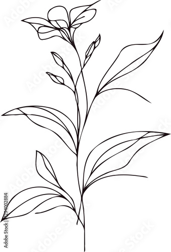 PNG Sketch Illustration, outline black and white flower, floral drawing of wild flowers, Doodle Set of leaves and buds Floral Art of Plants, line art lily pattern