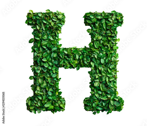 Letter H made with leaves isolated on transparent background