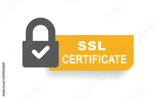 SSL, standard technology for securing an internet connection.