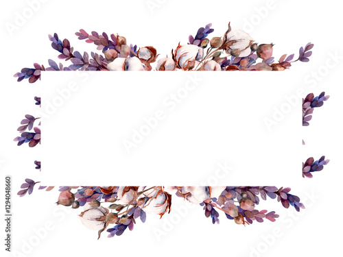 Rectangular frame surrounded by cotton lavender flowers and dried flowers. Watercolor illustration on white background.
