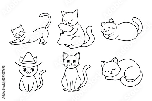 cat and dog