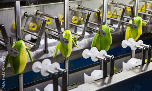 Fruit and vegetable peeling machine. Automatic fruit peeler.