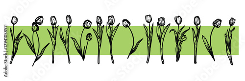 Hand drawn line art tulips on stems with blooms. Vector illustrations set of spring flowers. Elegant sketchy doodles of beautiful flowers. Graphic assets for print and online designs.