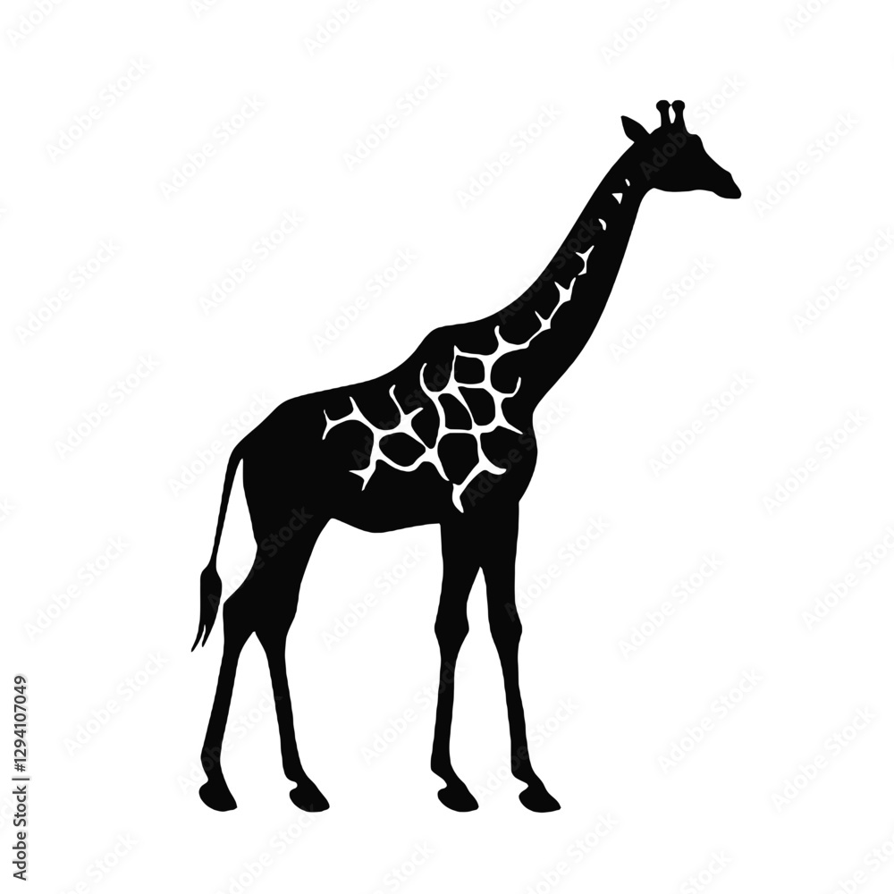 Fototapeta premium giraffe silhouette isolated on white