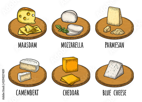 Pieces of maasdam, mozzarella, cheddar, parmesan, camembert, blue cheese on wood board. Vector color vintage engraving illustration isolated on white background.