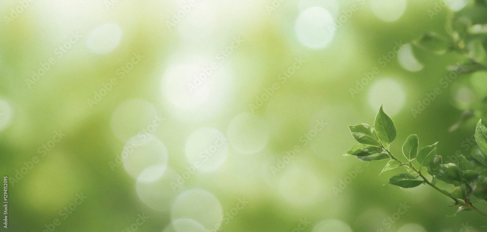 meditation posters with a leaf bokeh background, creating a calming and nature-inspired visual that soothes the mind. meditation posters with a leaf bokeh background, creating a calming and nature-inspired visual that soothes the mind.