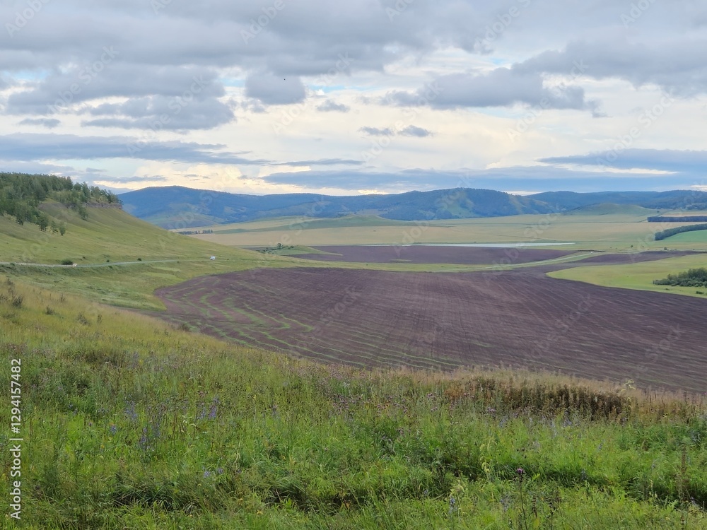 Naklejka premium Open spaces. Siberia. Summer.