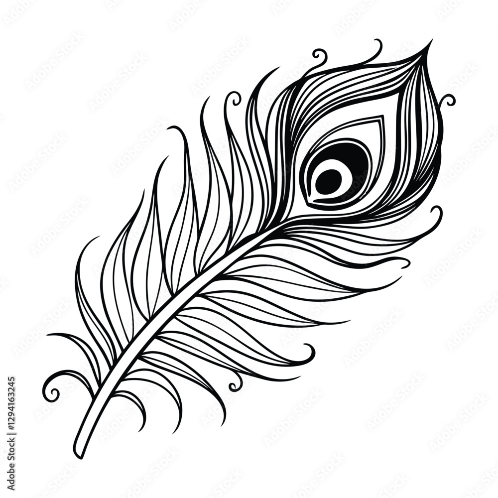 peacock feather vector line art silhouette design peacock feather vector line art silhouette design
