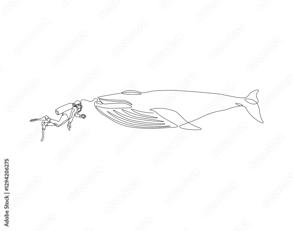 Continuous one line drawing of scuba diver diving with whale. One line drawing illustration of scuba diver swim with whale. Diving with marine animal concept single line. Editable outline Continuous one line drawing of scuba diver diving with whale. One line drawing illustration of scuba diver swim with whale. Diving with marine animal concept single line. Editable outline