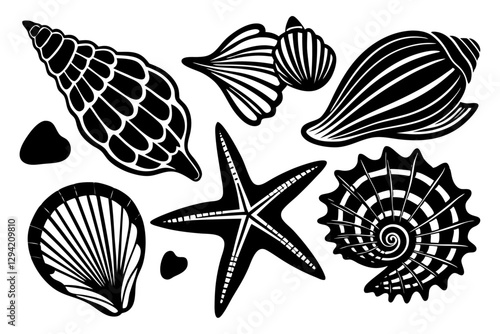 Sea shells and starfish 