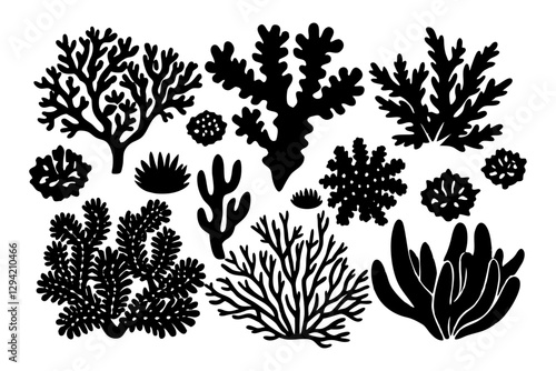 various coral silhouette 