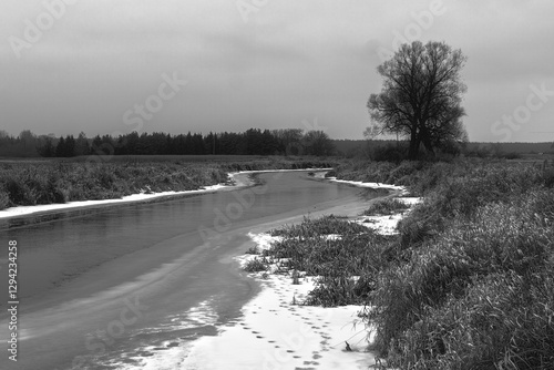 Obraz na płótnie Odwilż nad rzeką Narew, Podlasie, Polska w salonie