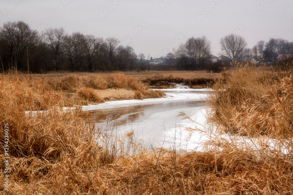 Odwilż nad rzeką Narew, Podlasie, Polska