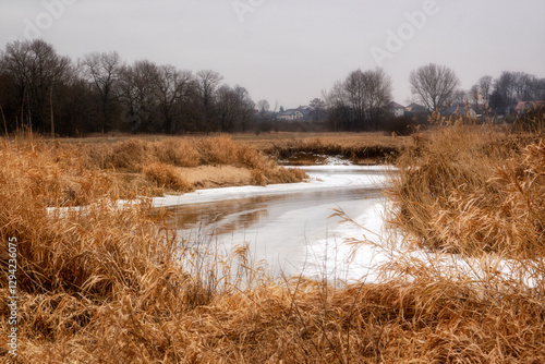 Obraz na płótnie Odwilż nad rzeką Narew, Podlasie, Polska w salonie