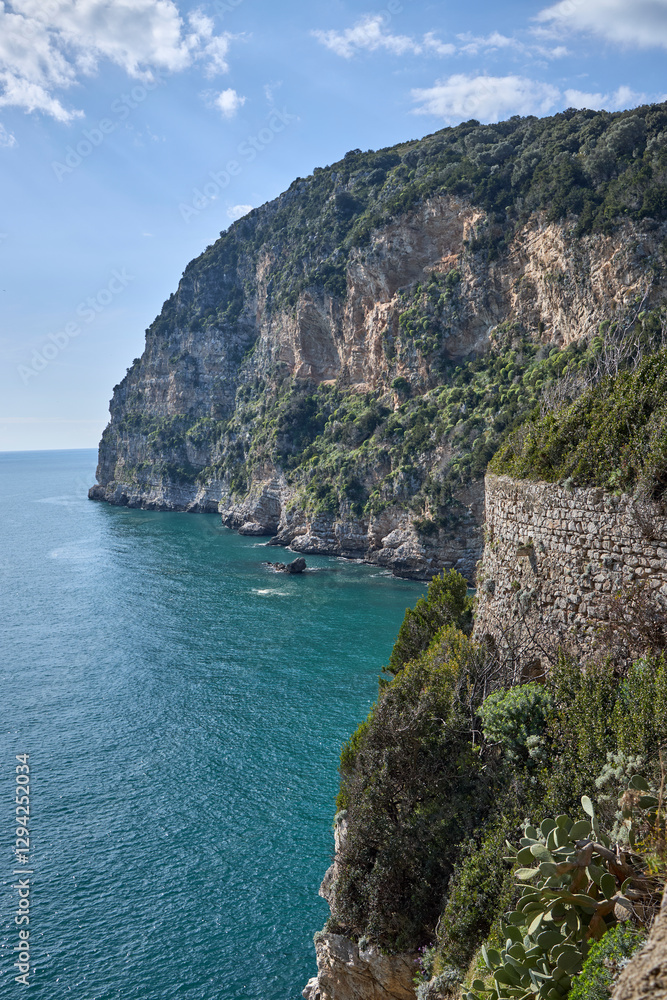 Fototapeta premium Coastal Landscape with Cliffs and Ocean Views
