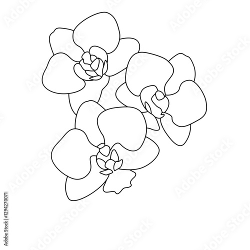 orchids line art flower flora logo