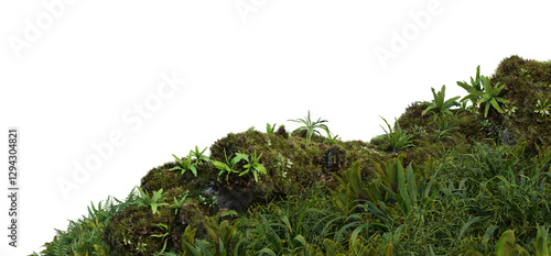 Fototapeta Naklejka Na Ścianę i Meble -  3D render foreground stump with moss and decorative tropical plants On a transparent background