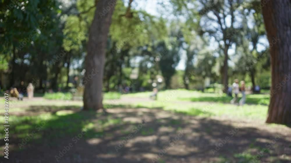 Blurry outdoor scene at villa borghese in rome with people walking amidst lush greenery under a sunny sky, creating a tranquil, defocused ambiance. Blurry outdoor scene at villa borghese in rome with people walking amidst lush greenery under a sunny sky, creating a tranquil, defocused ambiance.