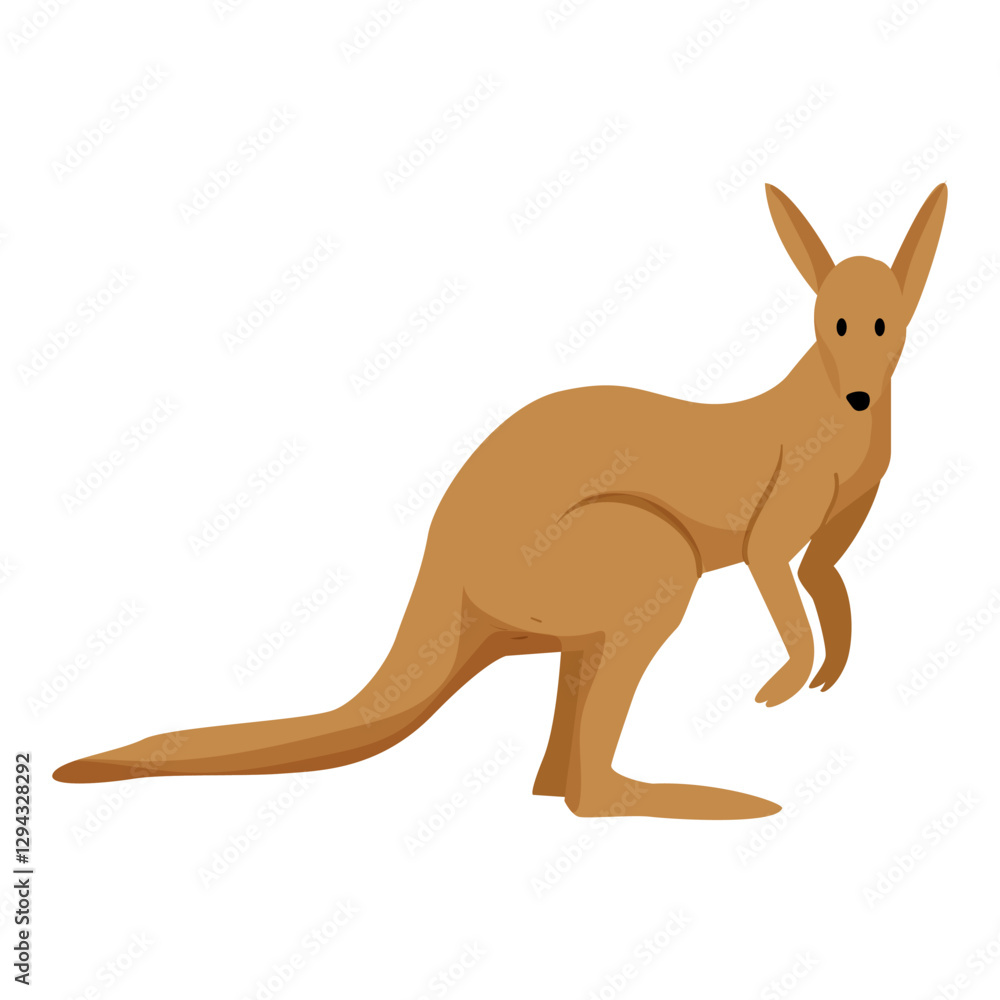 Fototapeta premium Kangaroo Animal