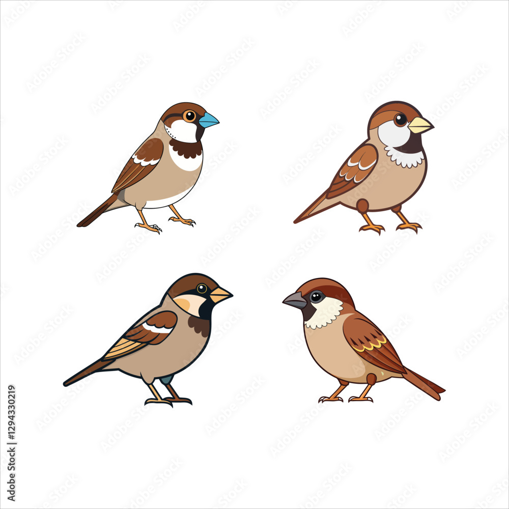 Fototapeta premium Sparrow Vector