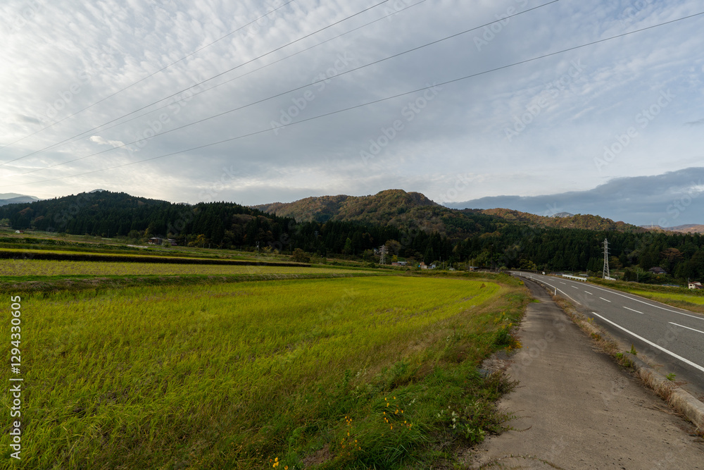 Historic old road “Salt Road” which is also a long distance hiking course and its surroundings Historic old road “Salt Road” which is also a long distance hiking course and its surroundings