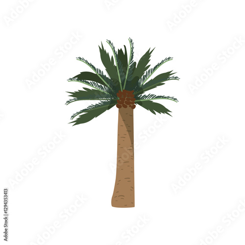 Date Palm Tree