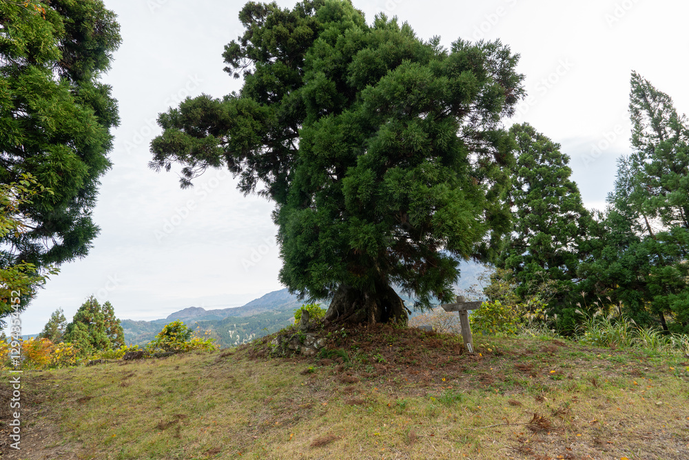 Obraz premium Historic old road “Salt Road” which is also a long distance hiking course and its surroundings
